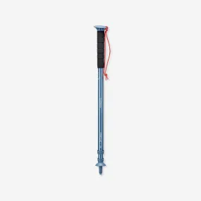 1 affordable hiking pole - MT100