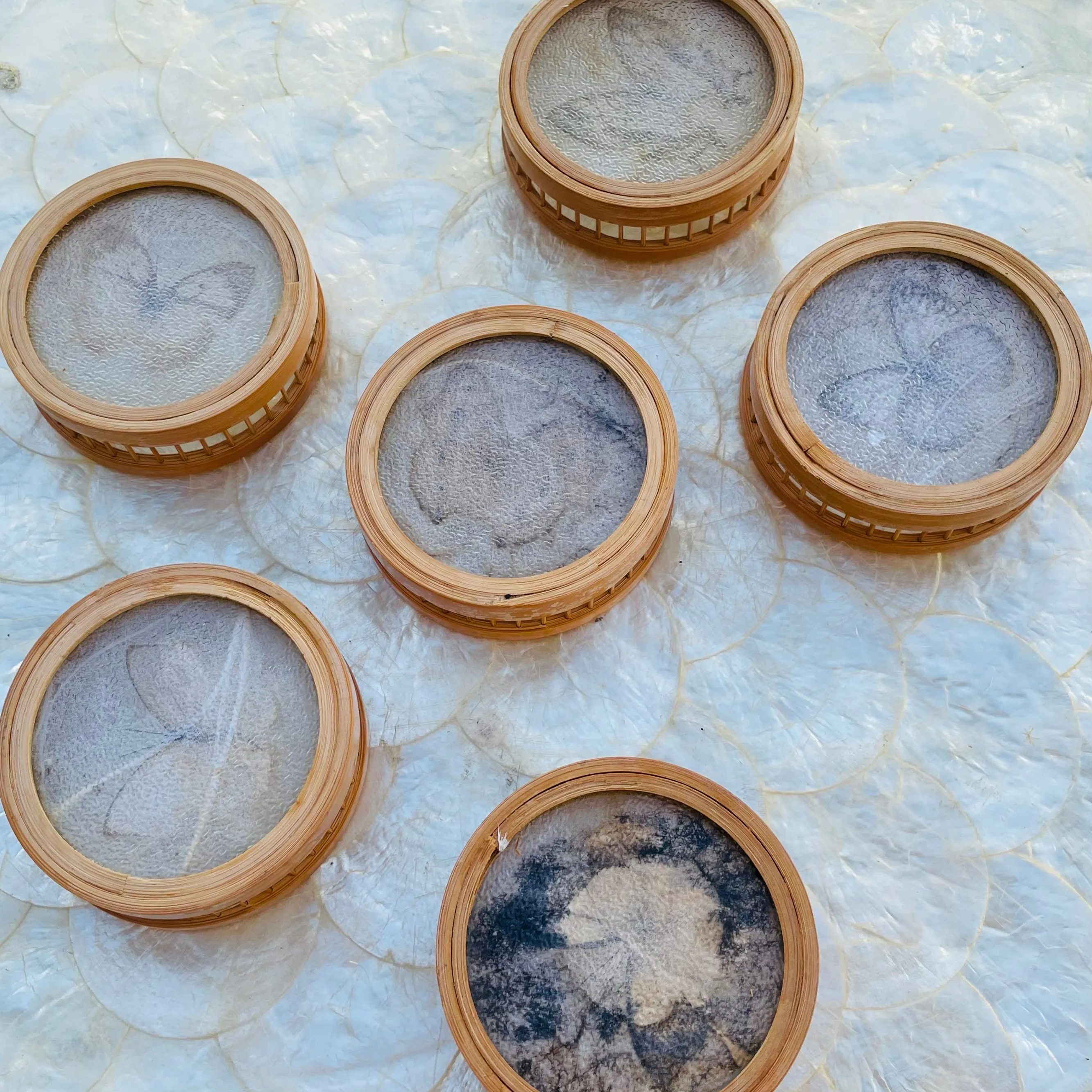 1970's Bamboo Wood Glass Butterfly Specimen Set of 6 Coasters & Serving Tray