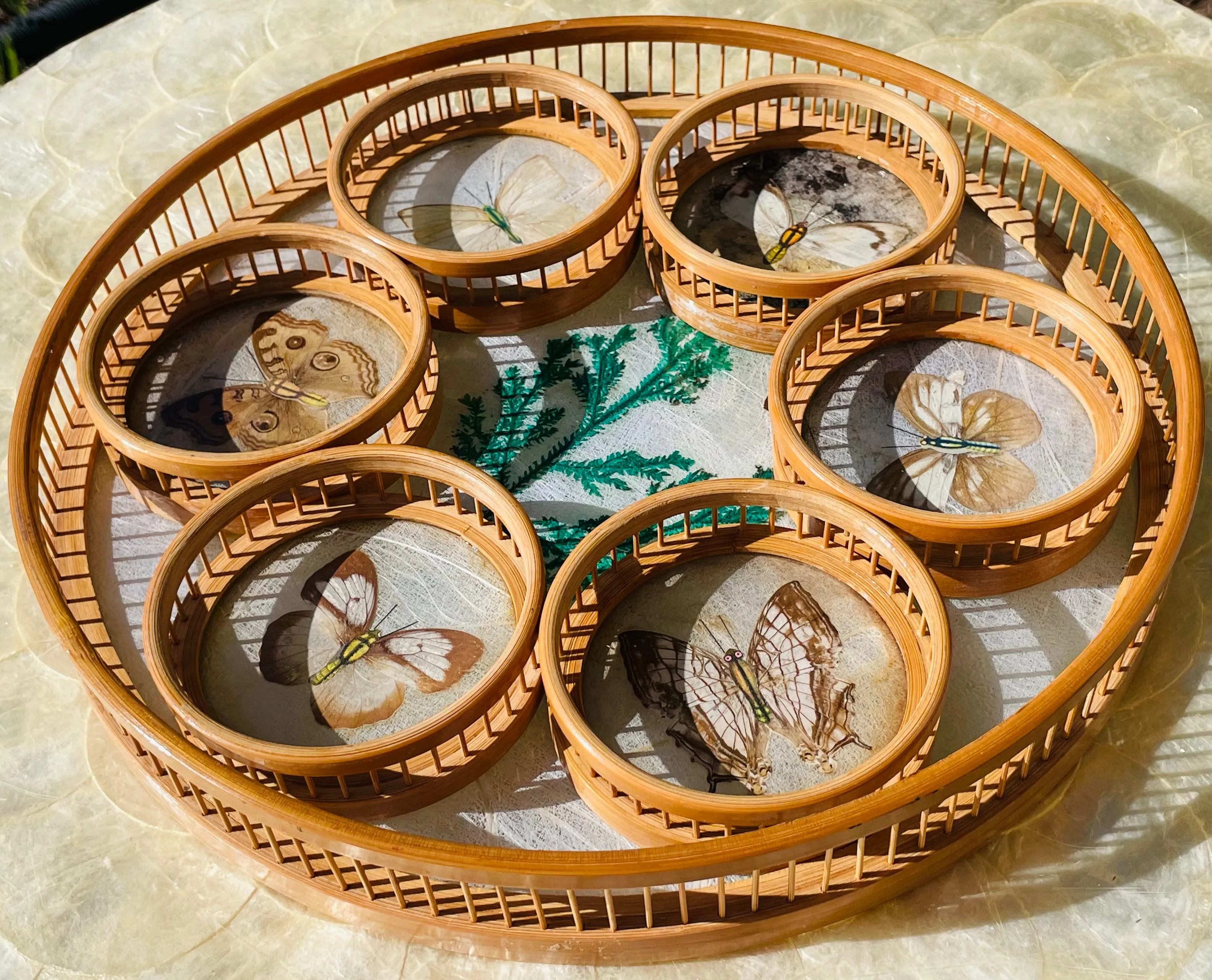 1970's Bamboo Wood Glass Butterfly Specimen Set of 6 Coasters & Serving Tray