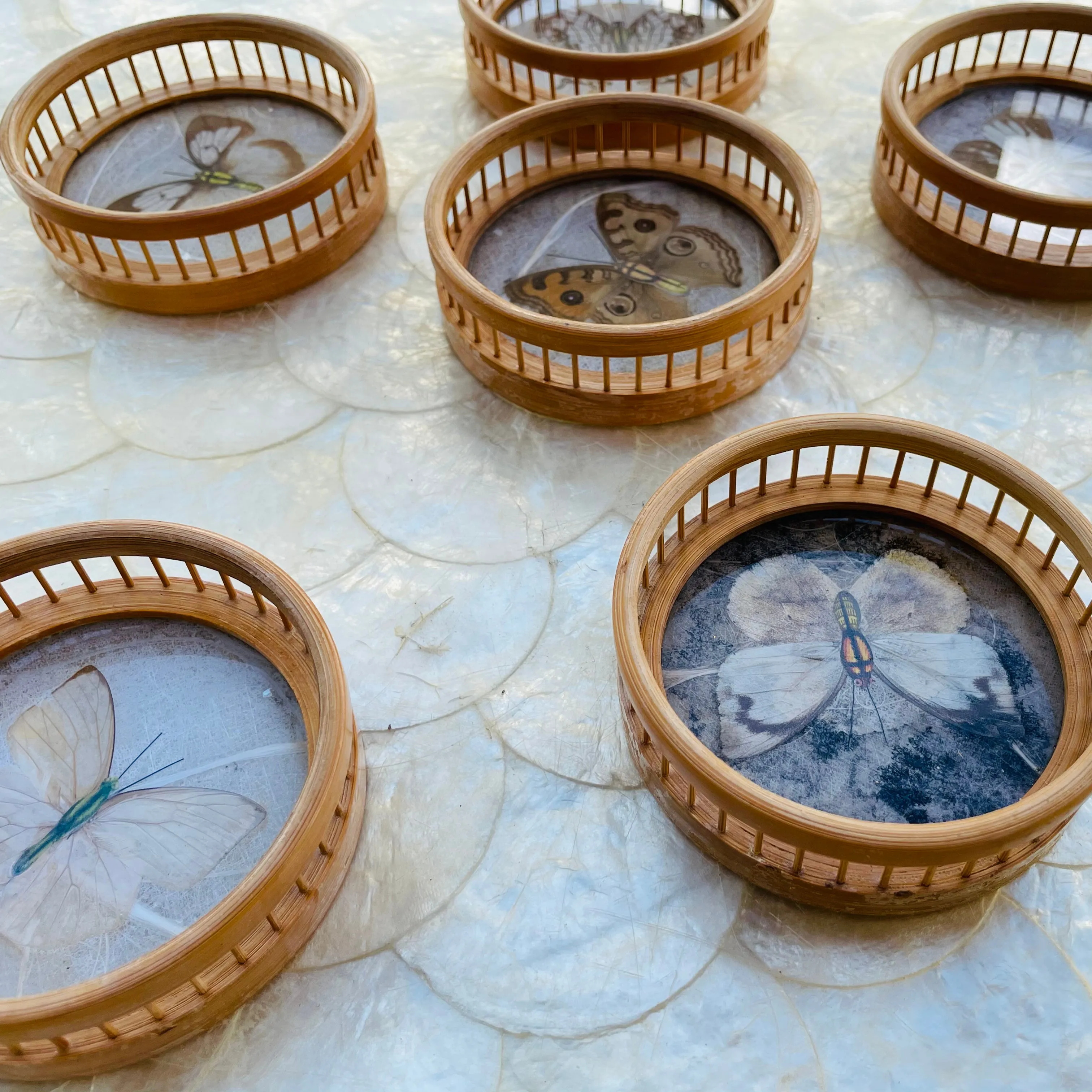 1970's Bamboo Wood Glass Butterfly Specimen Set of 6 Coasters & Serving Tray