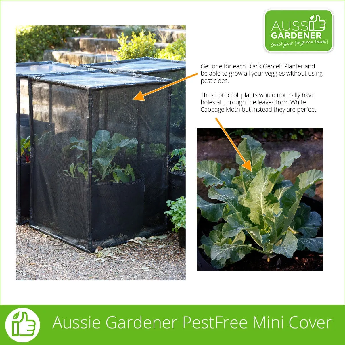 Aussie Gardener Mega Veggie Garden kits