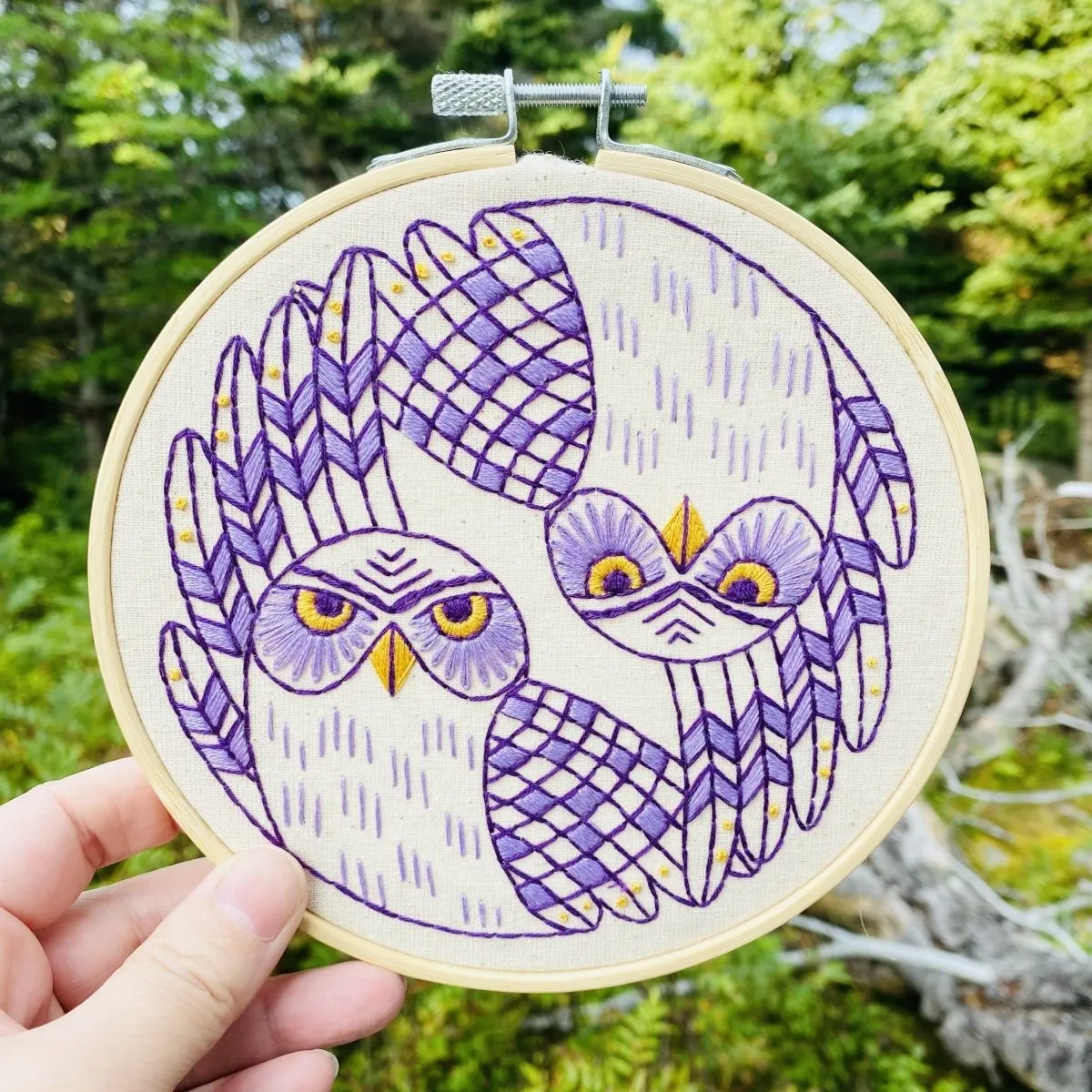 Burrowing Owls Embroidery DIY Kit