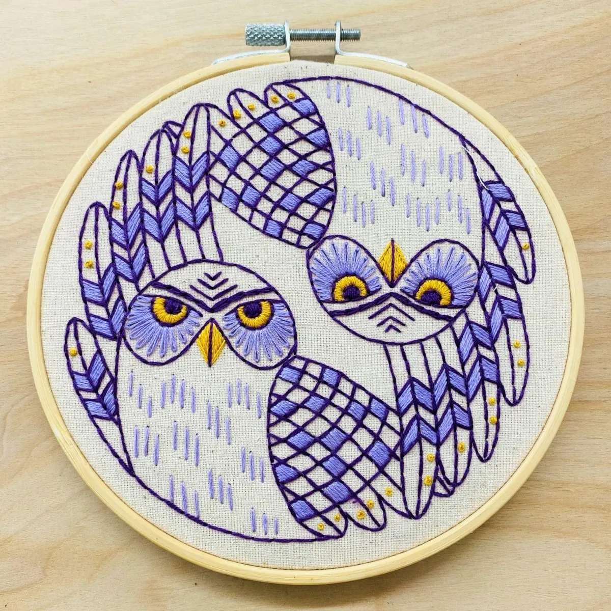 Burrowing Owls Embroidery DIY Kit