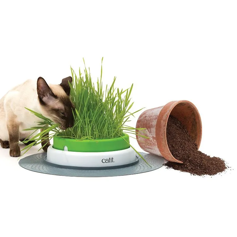 Catit Senses 2.0 Cat Grass Kit