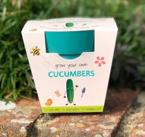 Cucumber Growing Kit with Pot