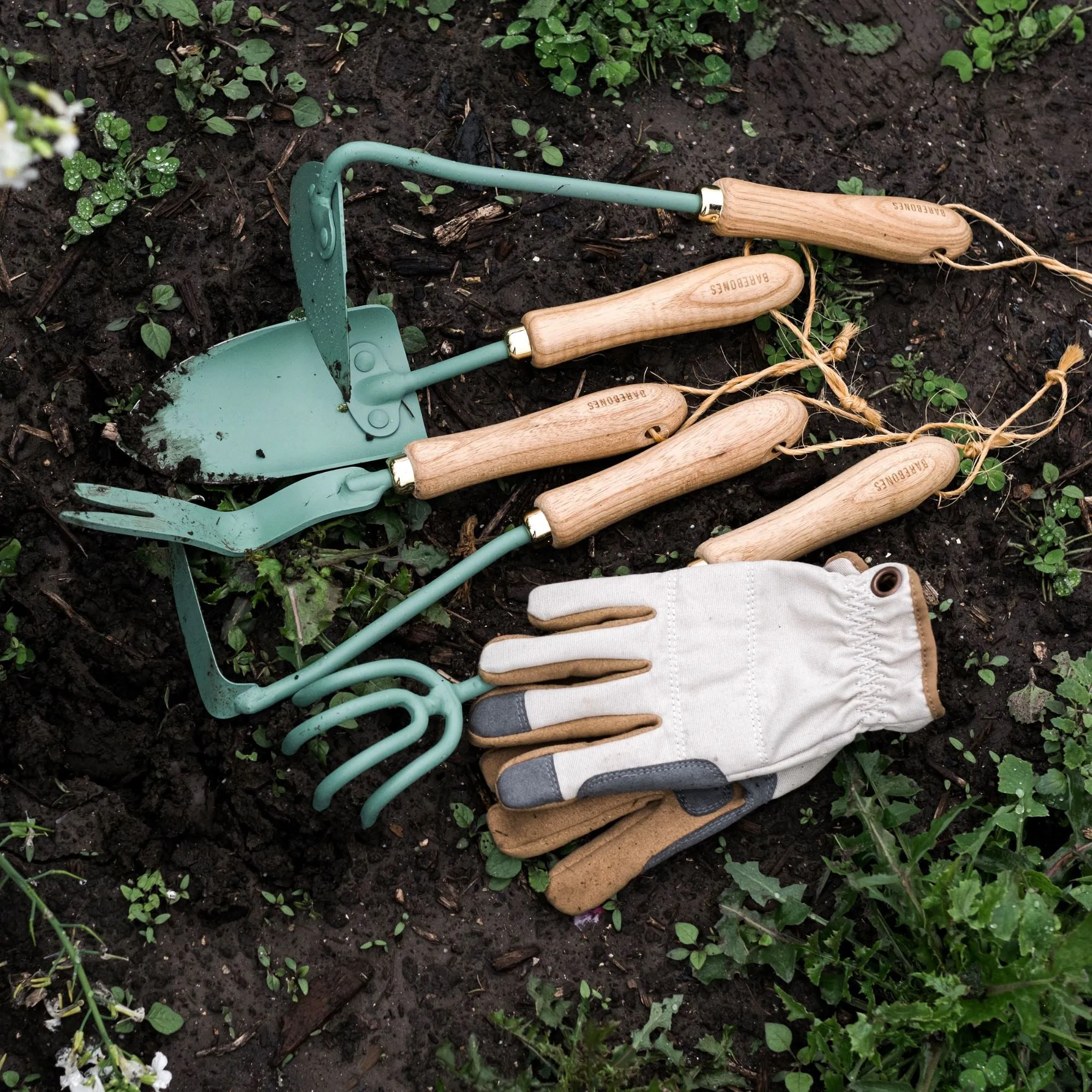 Dandelion Weeding Fork