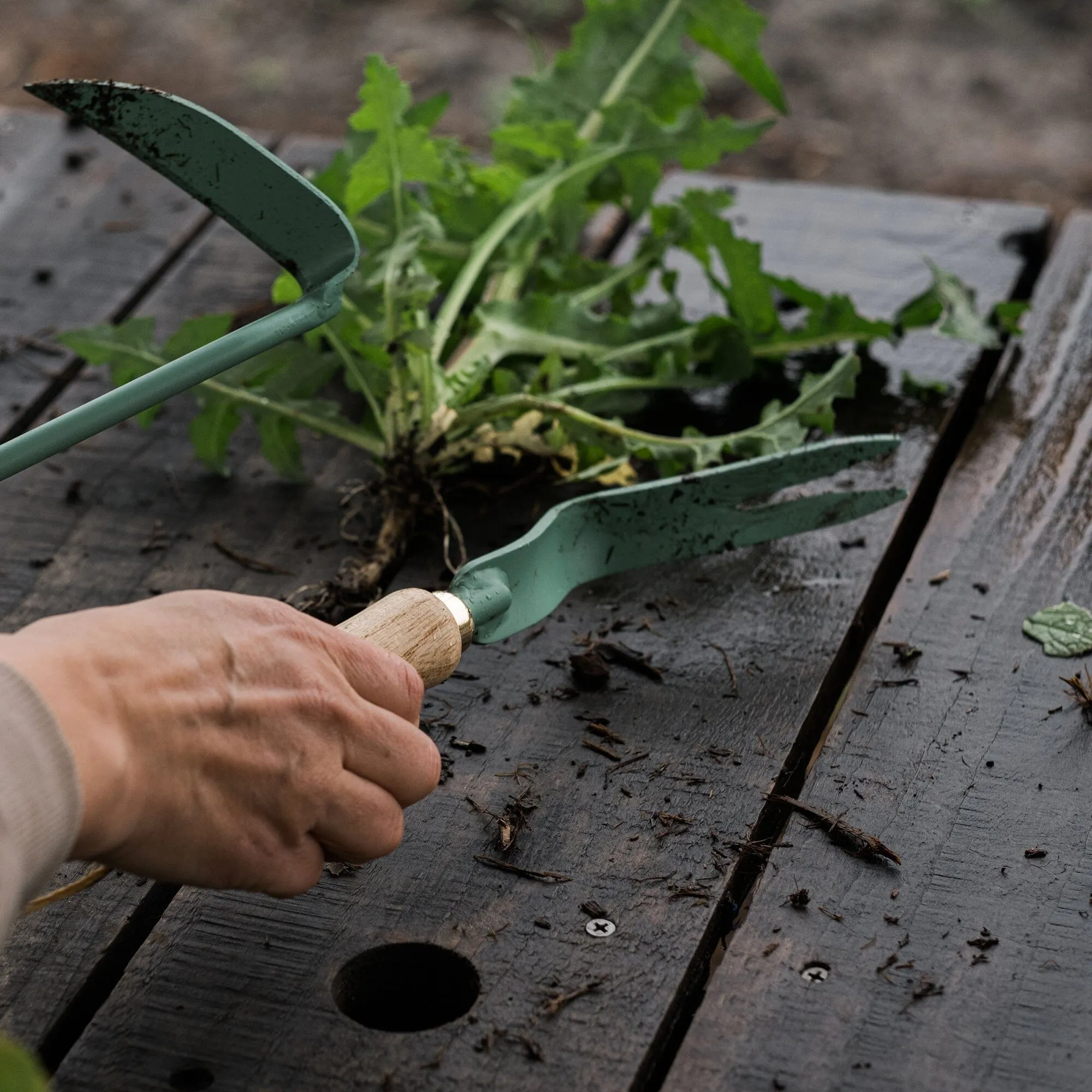 Dandelion Weeding Fork