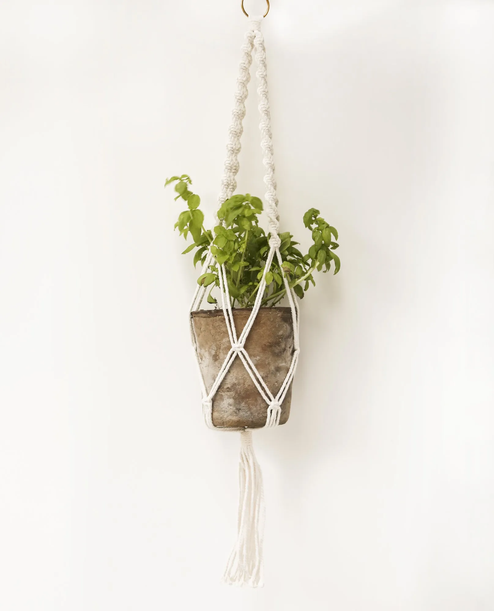 DIY Spiral Macrame Plant Hanger Kit