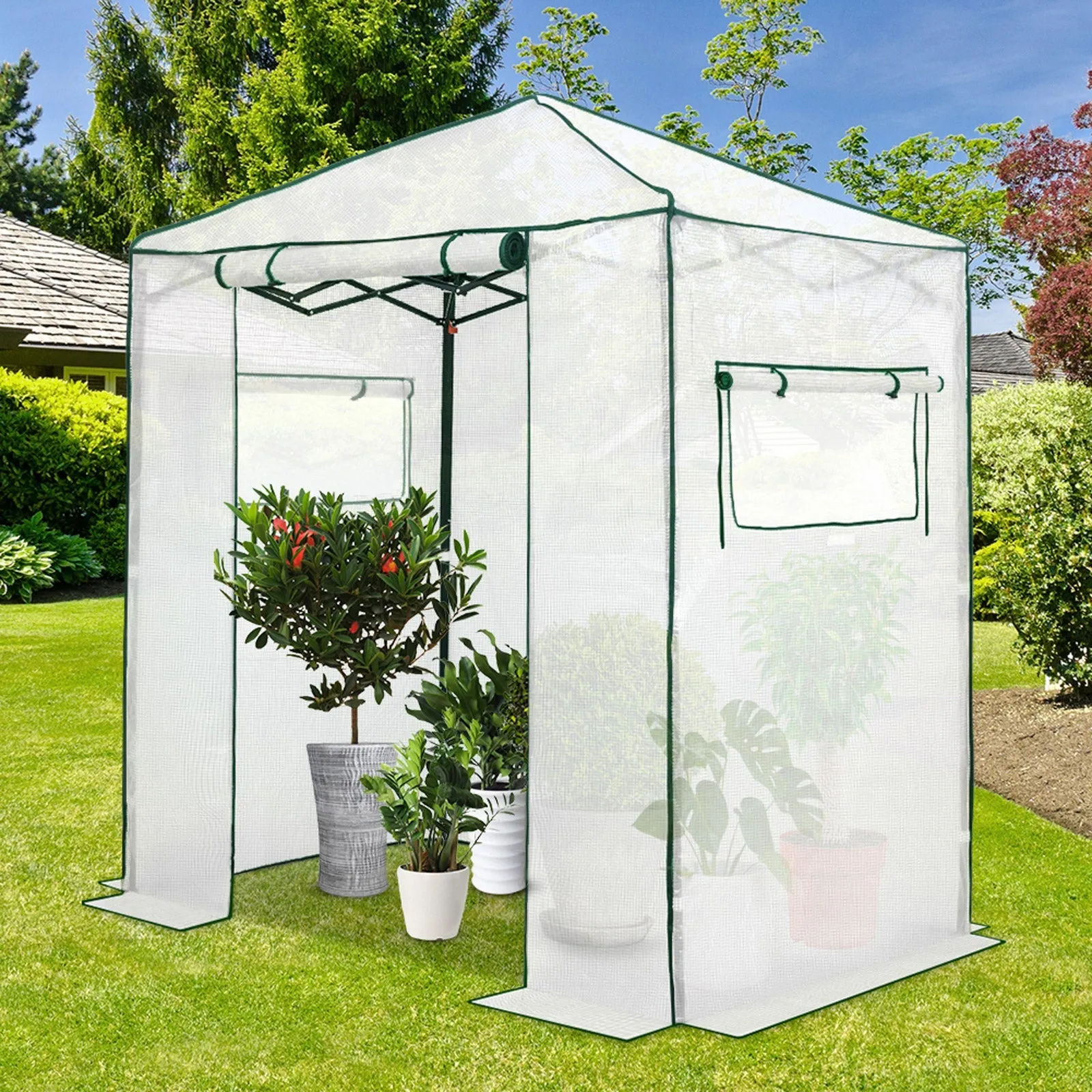 EAGLE PEAK Easy Fast Setup Instant 6x4 Walk-in Indoor/Outdoor Greenhouse