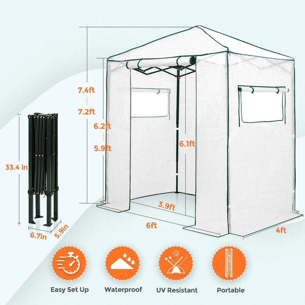 EAGLE PEAK Easy Fast Setup Instant 6x4 Walk-in Indoor/Outdoor Greenhouse