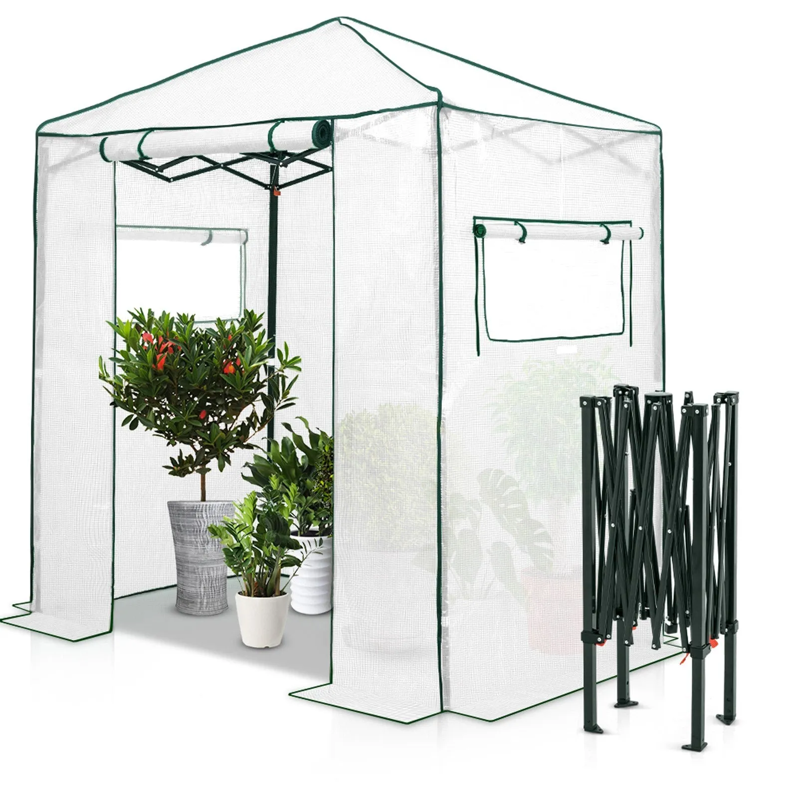 EAGLE PEAK Easy Fast Setup Instant 6x4 Walk-in Indoor/Outdoor Greenhouse