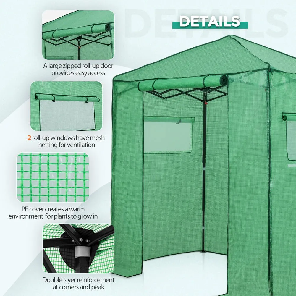 EAGLE PEAK Easy Fast Setup Instant 6x4 Walk-in Indoor/Outdoor Greenhouse