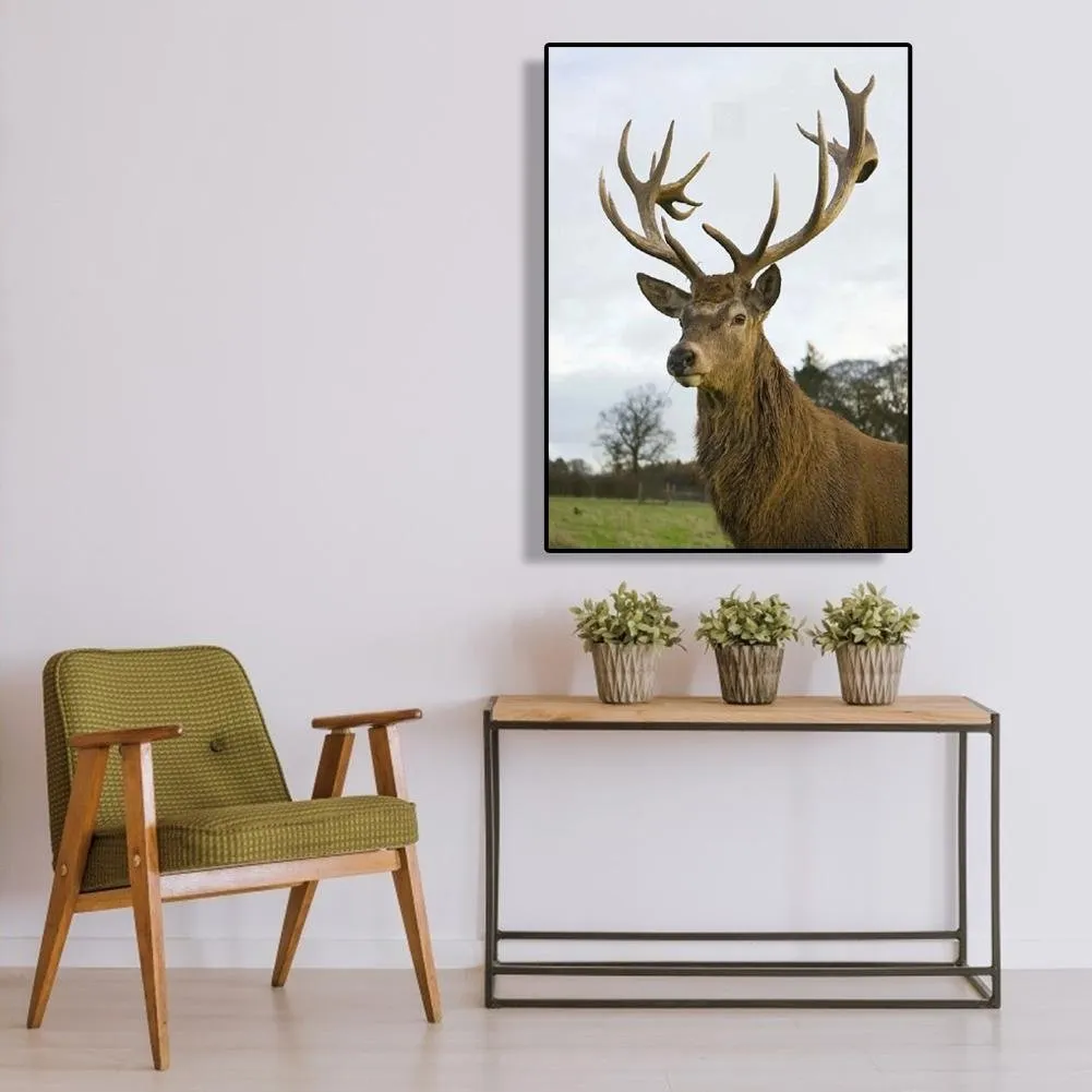 Full Elk - Full Diamond Painting - (Canvas 30*40cm/11.81*15.75in)