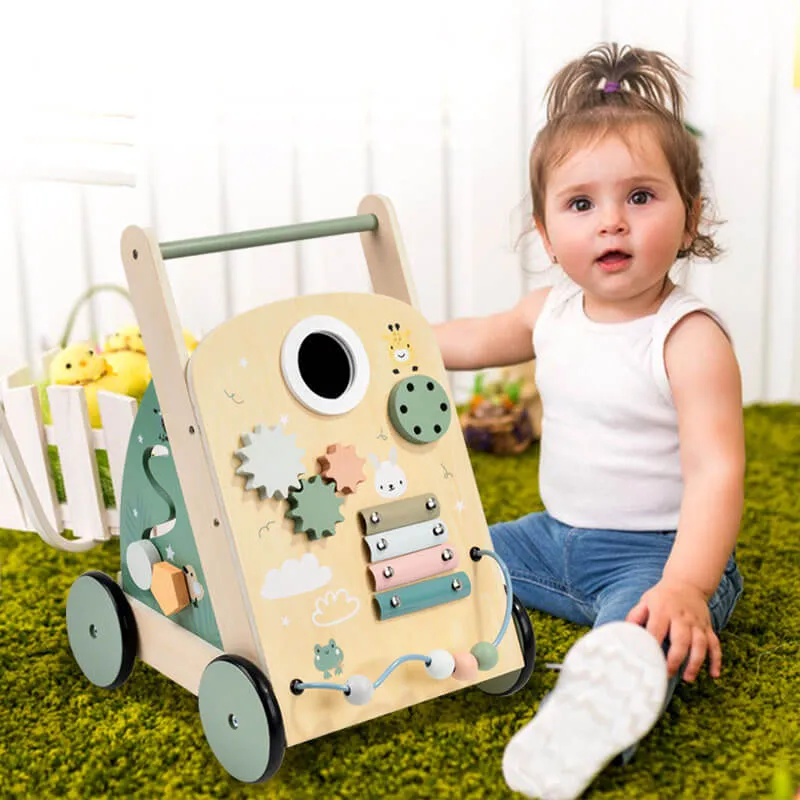 Multi-functional Wooden Baby Walker