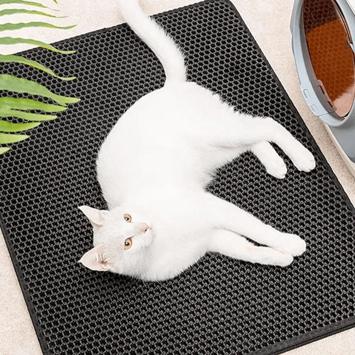 Purr-fect Cat Litter Mat